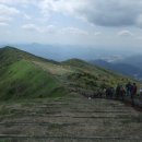 중2동-44 이미지