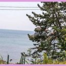 산바다펜션 이미지