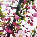 국립경주박물관 이미지