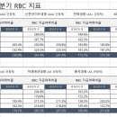 2024년 1분기 생명보험사 RBC 지급여력비율 - 나이스신용평가 - 이미지