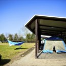 웃다리1945 이미지