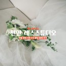 [결혼준비] 천안 레스 스튜디오 촬영 후기(드레스대여/스드메/준비물/추가금)