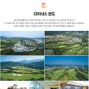 COSMOS 1(대중형 골프장) | 경주골프장 강동디아너스CC 골프존감포CC 서라벌CC 1박2일골프패키지 정보 라운딩 후기