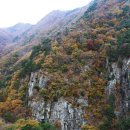 동유중기 이미지