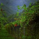 문경새재길 이미지