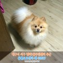 평리1동주민센터 이미지