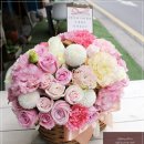 강남미즈힐산부인과의원 이미지