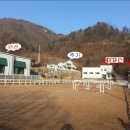 춘천승마장 네이버블로그