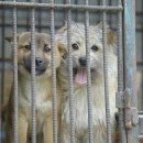 마리농장 이미지