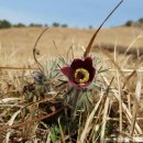 한재공원 이미지