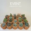 그대머물;꽃 네이버블로그