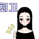 Pedagogy 박사유도관 이미지