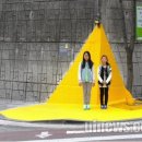 옐로카펫 이미지