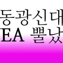 합동광신대측 WEA 뿔났다 사랑의 교회 오정현 목사의 WEA총회유치 이미지