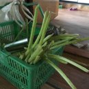 임포경로당 이미지