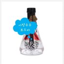 정화슈퍼마켓 | Agimat at Ugat Vodka(아기 맛 보드카) 세부 슈퍼마켓 술 추천. 사탕수수와 코코넛 숯으로 만든 귀한 술