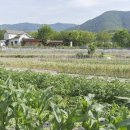 평리민박 이미지