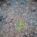 왕암농장 이미지