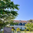 사랑해줄개 이미지