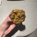 델리스 | 원주 무실동 두바이 쫀득 쿠키 맛집 카페 델리스 주차 내돈내산 후기