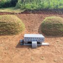 중앙장의사 이미지