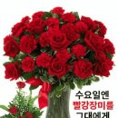 수요일 이미지