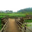 푸른수목원 이미지