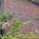 효령로61길 15 이미지