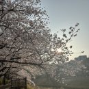 탄동천-2 이미지