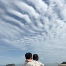 떠아랑:) 진도 쏠비치 리얼후기 가족여행 후기 : 키즈풀,조식,룸컨디션 까지 솔직리뷰 꿀팁 ! >_<