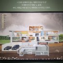 달튼