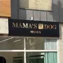 마마스미독 강아지 분양 김해점 이미지