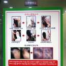 하단2동-9 | [부산 하단미용실 / 동아대미용실] 네코헤어앤두피 셋팅 펌 후기