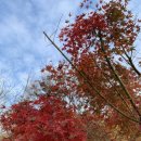 동백베이커리 이미지