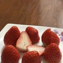 제일 팜 마트 | 마트 딸기랑 다르다… 딸기추천 설향 생딸기 [달콤팜] 솔직리뷰