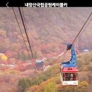 11월 8일 (일) 내장산 힐링 단풍여행 / 무료 (카페지기님 지원) 이시간부로 대기자도 마감합니다 이미지