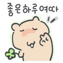 부산애견호텔 강아지유치원 맘바이 사하구점 이미지