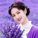 별빛하루