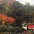 용인 샤인빌 시니어스 너싱홈 | 용인 요양원 샤인빌시니어스너싱홈 간호학박사 원장 운영 노인센터