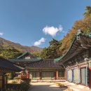 석남사 - 1101 | 석남사