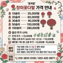 장미꽃사이로 | [공지] 대구 화이트데이 꽃다발 | 장미·프리지아 꽃다발 가격과 디자인 모음 (feat.칠성꽃시장 꽃처럼)