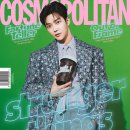 로운 일간스포츠