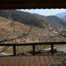 곡성-172 이미지