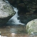 성불산장앞 이미지