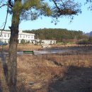 행복중학교 이미지