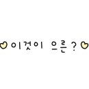 GS25 석모민머루점 네이버블로그