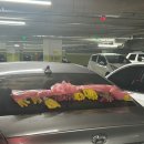 대정시크릿 | 내면은 궁금하지 않으니 겉으로 저한테 잘하세요