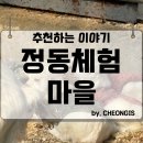 정동농장 | 정동체험마을 세종 식당 피자 우유 카페 데이트 동물 아이랑 가볼만한 곳 추천