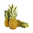 일순농장 | 이것 때문인가 브로멜라인 효능과 복용법