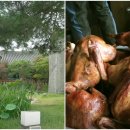 서경석농장 이미지